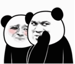 鞋类进销存