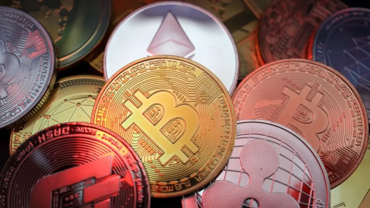 XOEX交易所手机验证码收不到