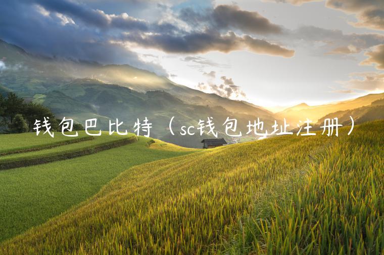 钱包巴比特（sc钱包地址注册）
