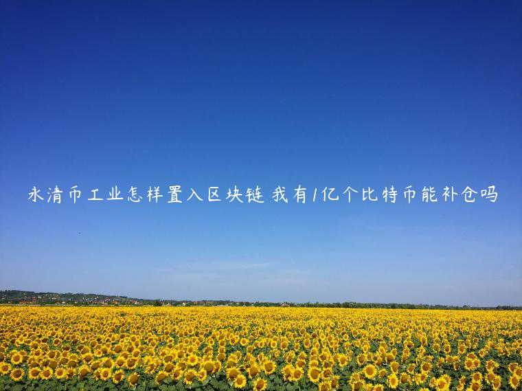 永清币工业怎样置入区块链 我有1亿个比特币能补仓吗