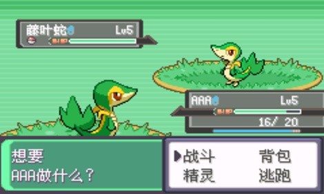 口袋妖怪漆黑的魅影BW版