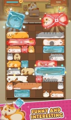 猫猫安全滑动拼图手机版
