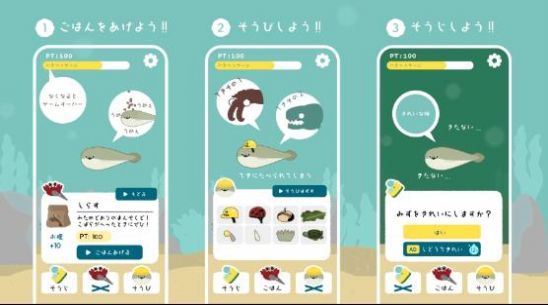 饲养萨卡班甲鱼免费正版