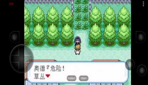 口袋妖怪究极之路作弊版