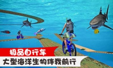 极品自行车安卓版