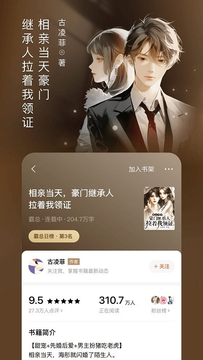红果小说阅读器