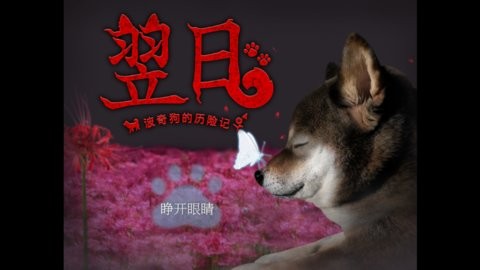 翌日波奇狗的历险记手机版下载