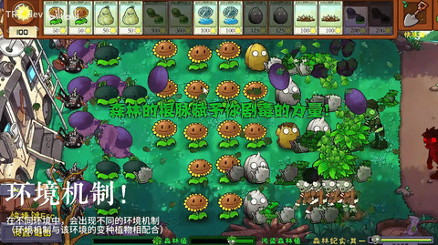 植物大战僵尸自然版最新版下载