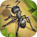 蚂蚁王者大冒险手机版