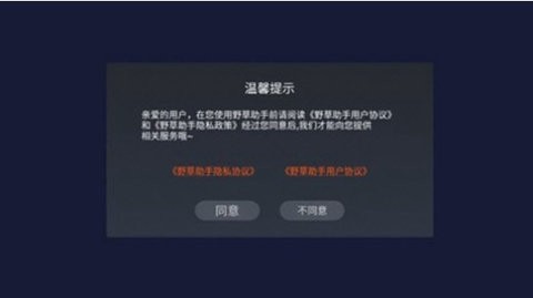 野草助手tv版下载