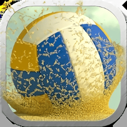 疯狂排球3d