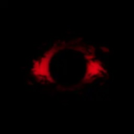 黑暗中的女仆汉化版下载