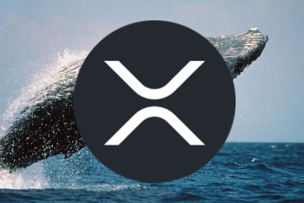 Upbit巨鲸一次性购入1900万XRP