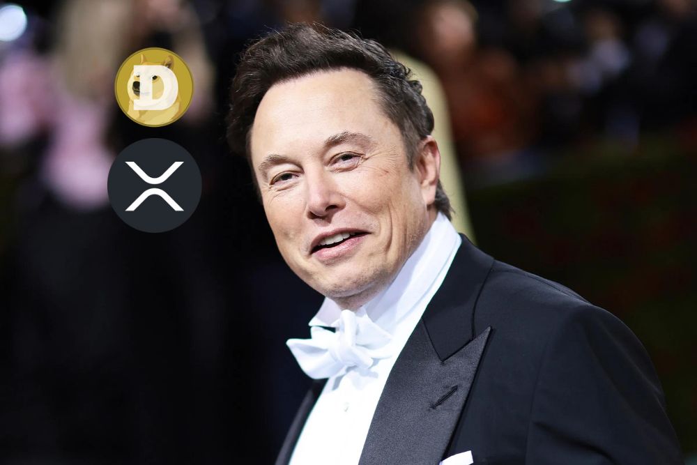 如果埃隆·马斯克像推广狗狗币那样推广XRP，其预期价格