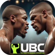 终极拳击冠军游戏