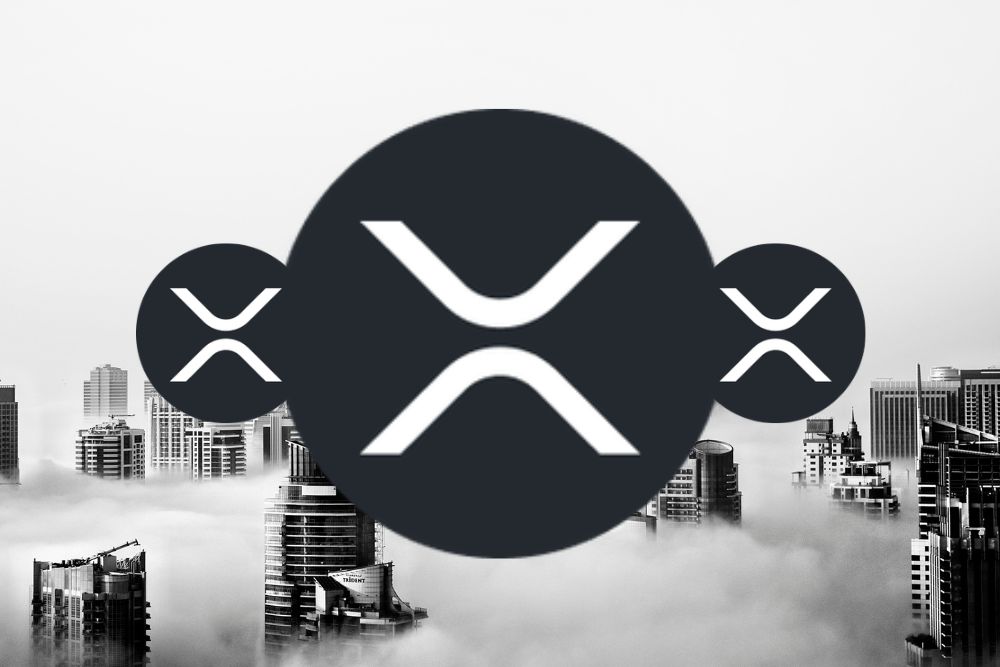 专家对XRP持有者说：你对XRP的看涨程度还不够。原因如下