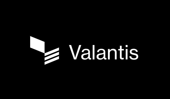 Valantis是什么项目？Valantis有什么优势？