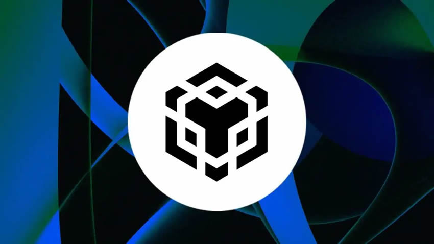 BNB网络公司斥资1.6亿美元买入20万枚BNB，成为全球最大BNB持有者