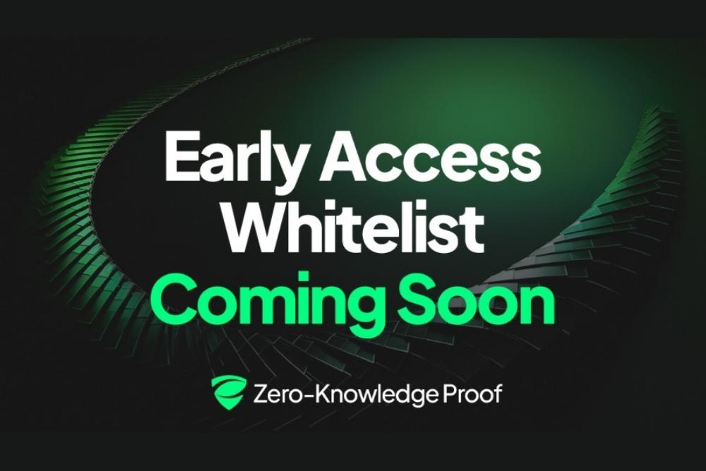 巨鲸止步：零知识证明（ZKP）如何重塑公平投票！
