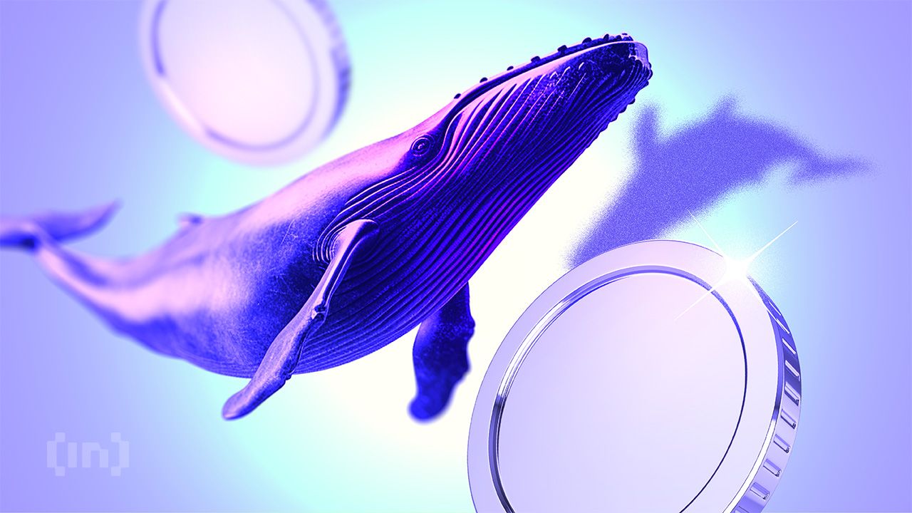 加密货币巨鲸在市场反弹4%之际转移数百万资金