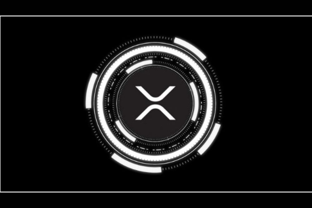 SEC批准的XRP信托股份:他们不想让你看到的内容