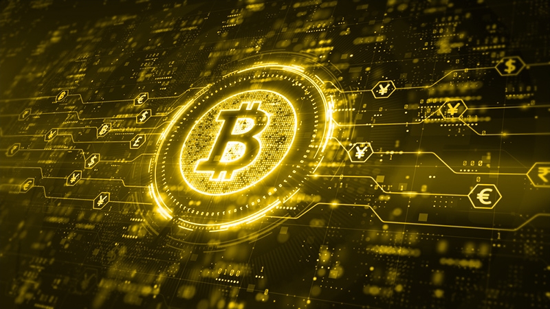 SHIB币全解析:Shiba Inu最新价格走势与2025展望