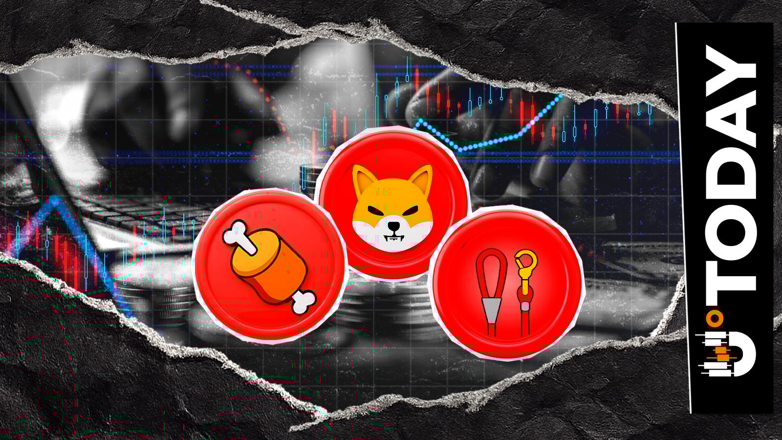 柴犬币高管谈SHIB、BONE、LEASH："至暗时刻终将过去"