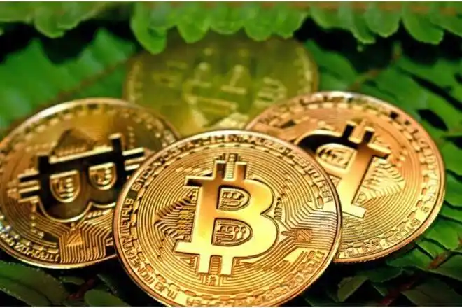 去哪查新币上线信息-新手必看的新币查询指南