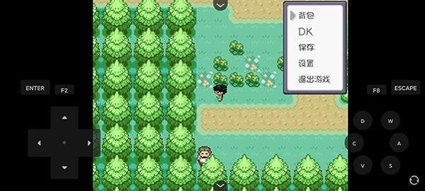 口袋妖怪燃之智手机版下载