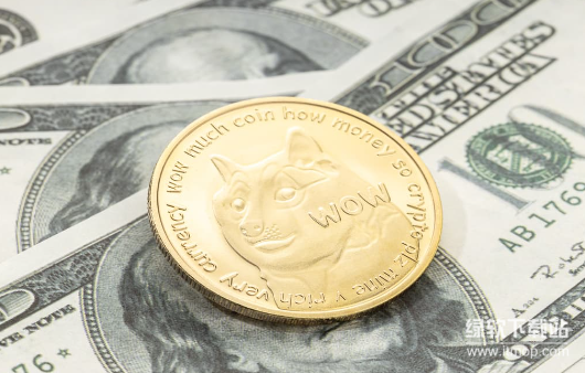 狗狗币如何兑换美元-哪些因素影响兑换效果-