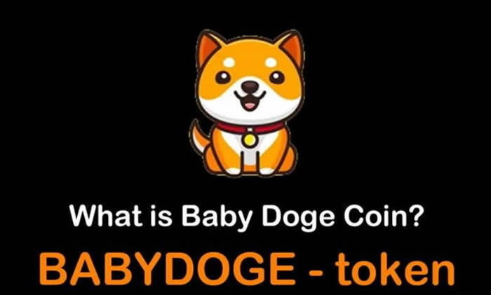 萌宠币(BabyDoge)是什么?BabyDoge币如何轻松入手?