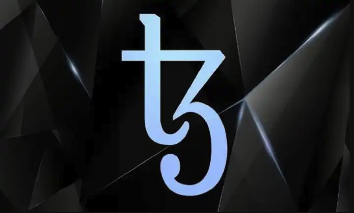 XTZ币投资风险全面解析