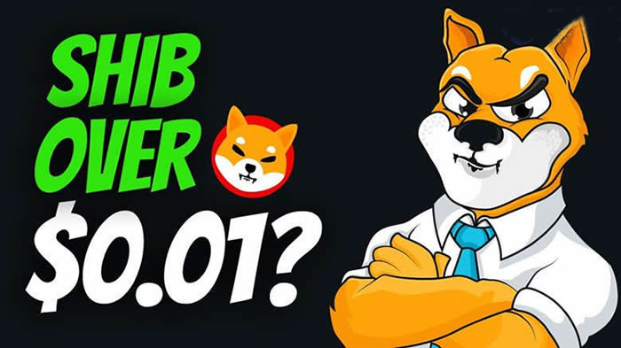 柴犬币发行总量多少枚?SHIB币发行时间、价格全解析