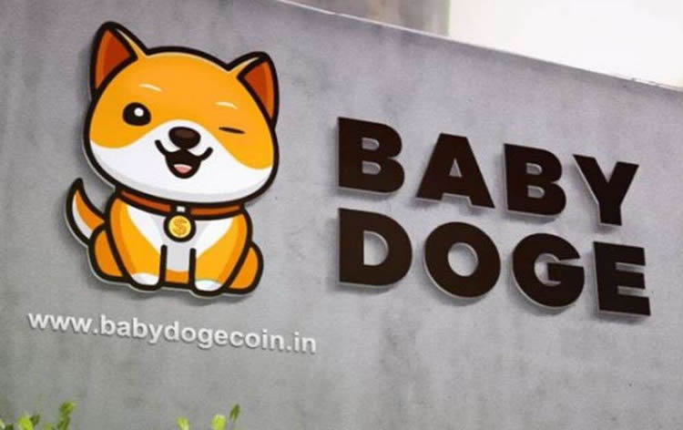 宝贝狗币(BabyDoge)是什么?最新价格走势与未来前景解析