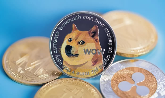 狗狗币在哪里交易买卖？热门狗狗币交易平台全收录