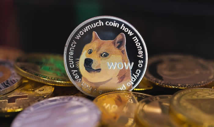 狗狗币购买指南:手把手教你买DOGE币