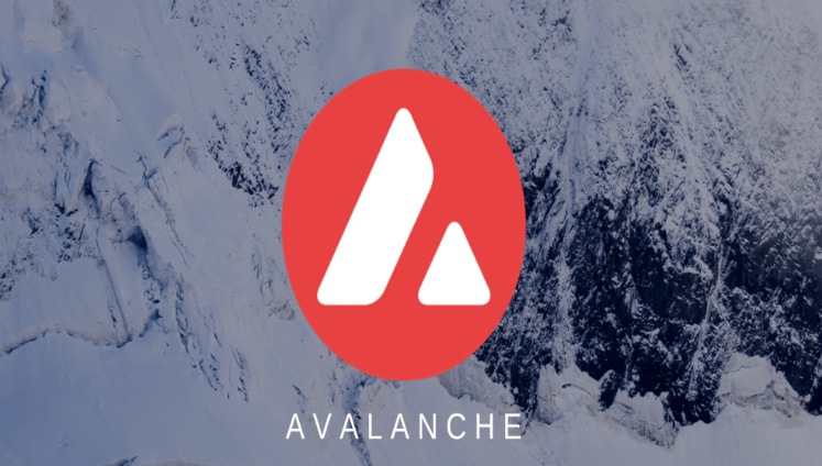 Avalanche(AVAX)是什么币?值得入手吗?AVAX币未来走势深度解析