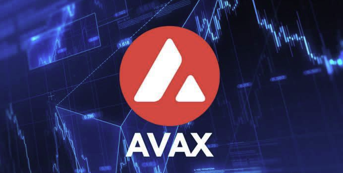 AVAX代币经济与投资风险解析:新手必读指南