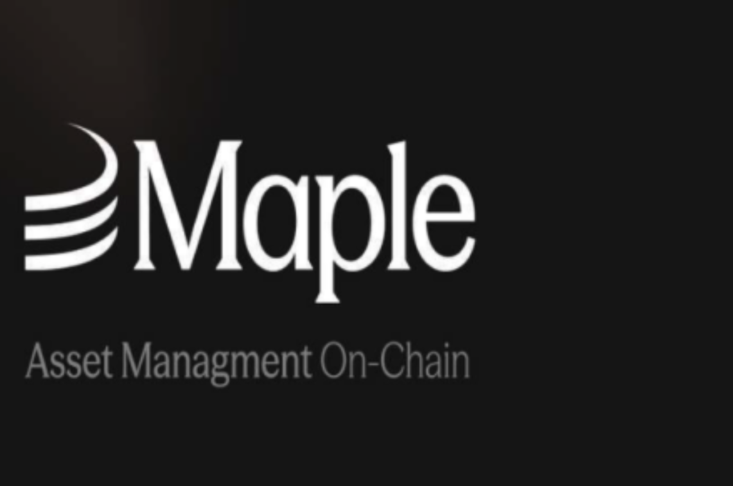 SYRUP代币解析-SYRUP如何定义DeFi借款市场新格局