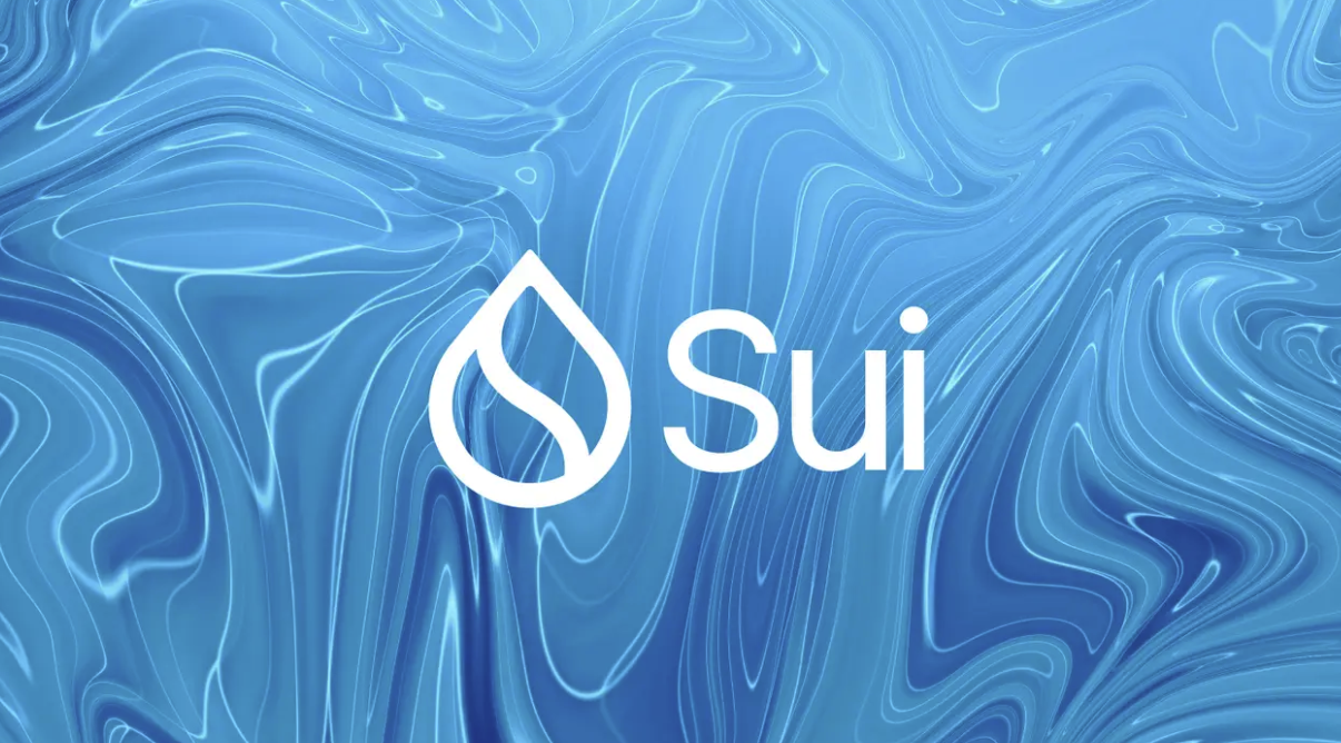 Sui币的核心功能有哪些基础应用-为何它能支持高效并行支付