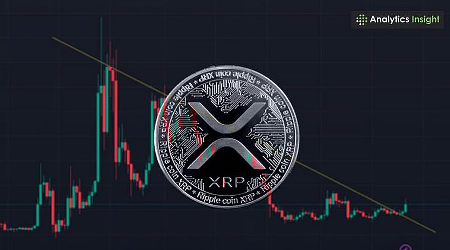 XRP热潮为何尚未到来:分析师解析