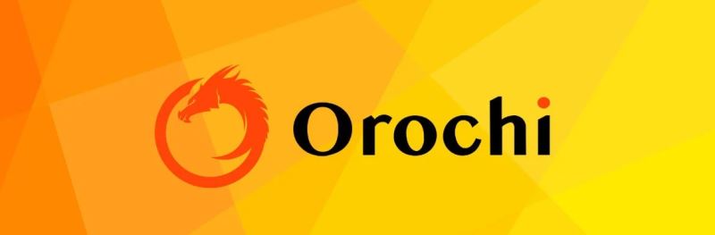 Orochi Network是什么?ON币有何价值?投资前景如何?