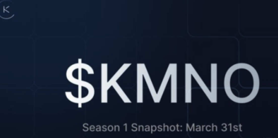 KMNO的市场潜力如何-新手适合长期持有KMNO币吗