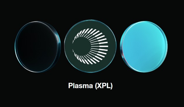 XPL币如何购买?币安购入XPL币全指南