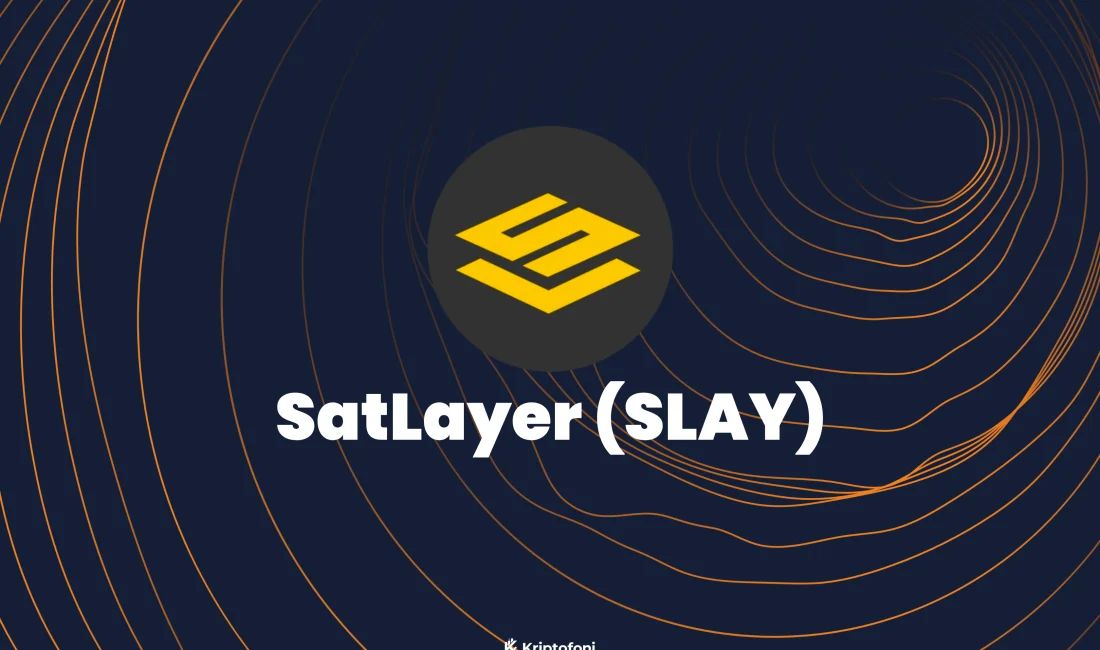 SatLayer(SLAY币)全面解析：代币经济、融资背景与潜力展望