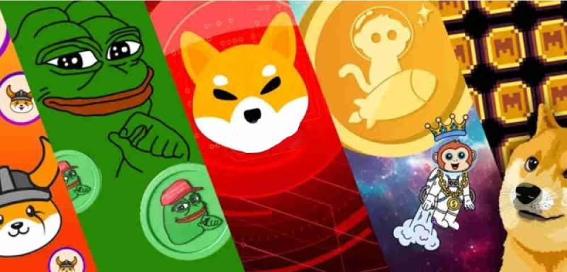 链上土狗还能玩吗？哪些链上土狗值得冲？怎么入手？