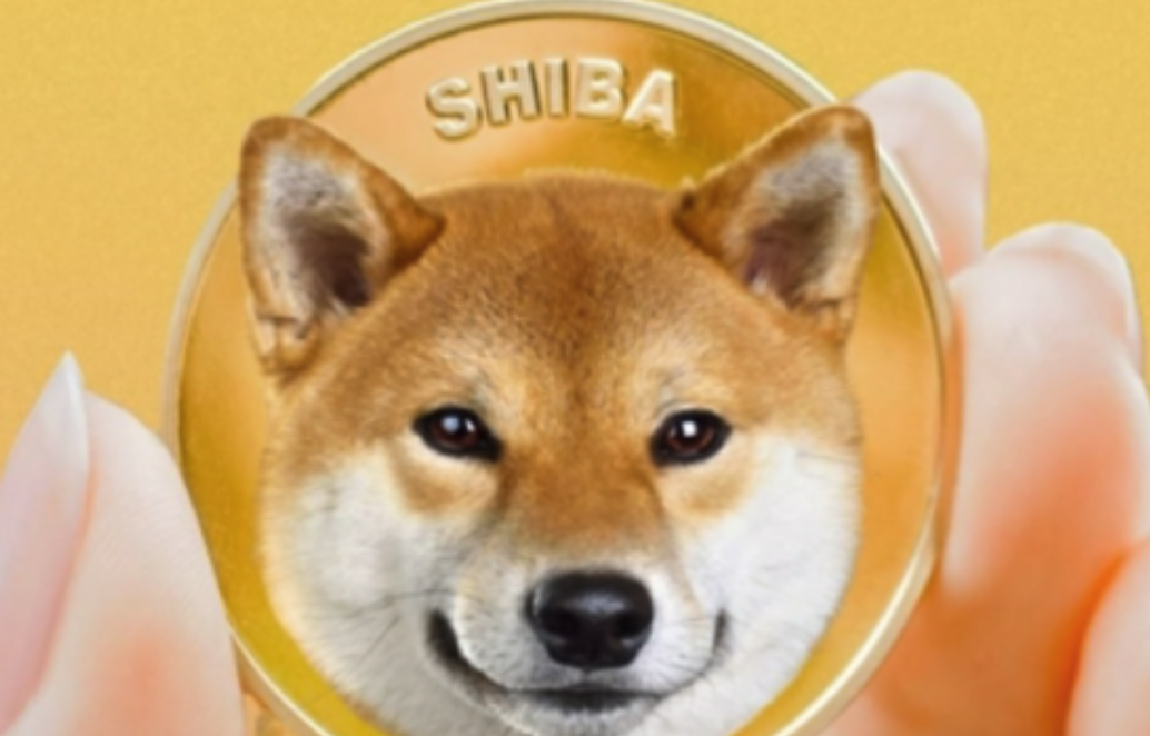 柴犬币如何购买-安全买入柴犬币的交易所推荐