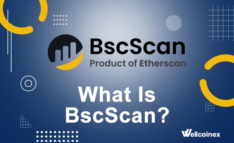 拒绝盲目交易！BscScan 入门：带你透视 BSC 链上的每一笔买卖