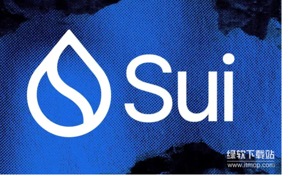 Sui治理的社区提案流程详解-SUI持有者投票决策指南