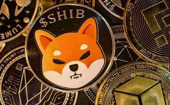 shib哪里能买?热门数字货币交易所排名